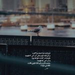 دانلود آهنگ میگفتی بری رگامه زدم از پیام عباسی